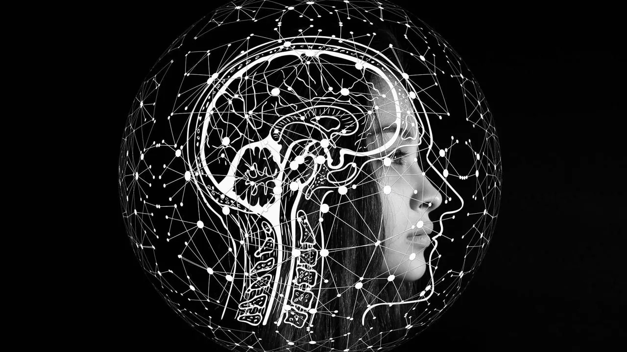 Teaching AI to Ask the Right Questions